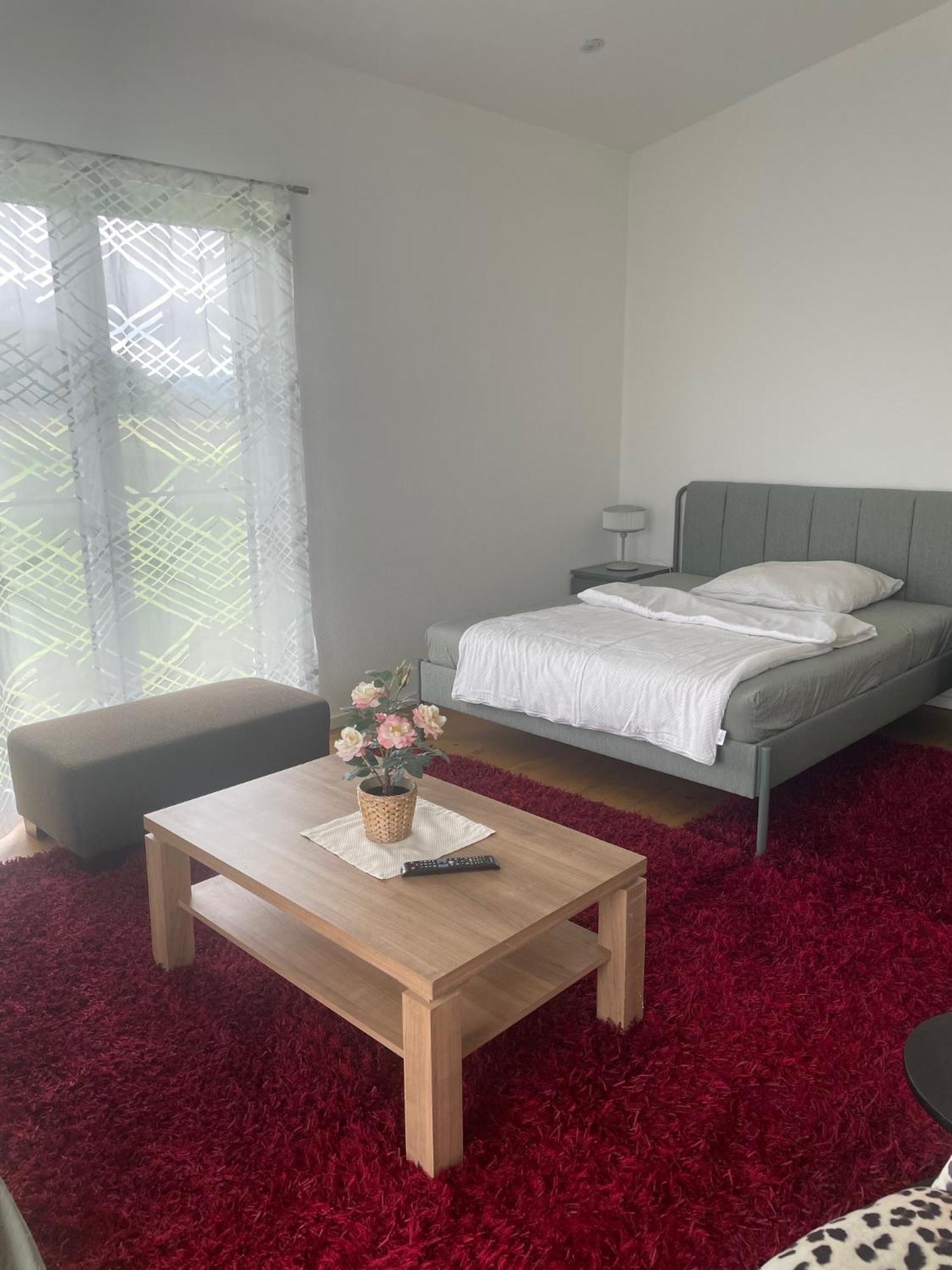 Feine Auszeit Appartement Gottmadingen Buitenkant foto