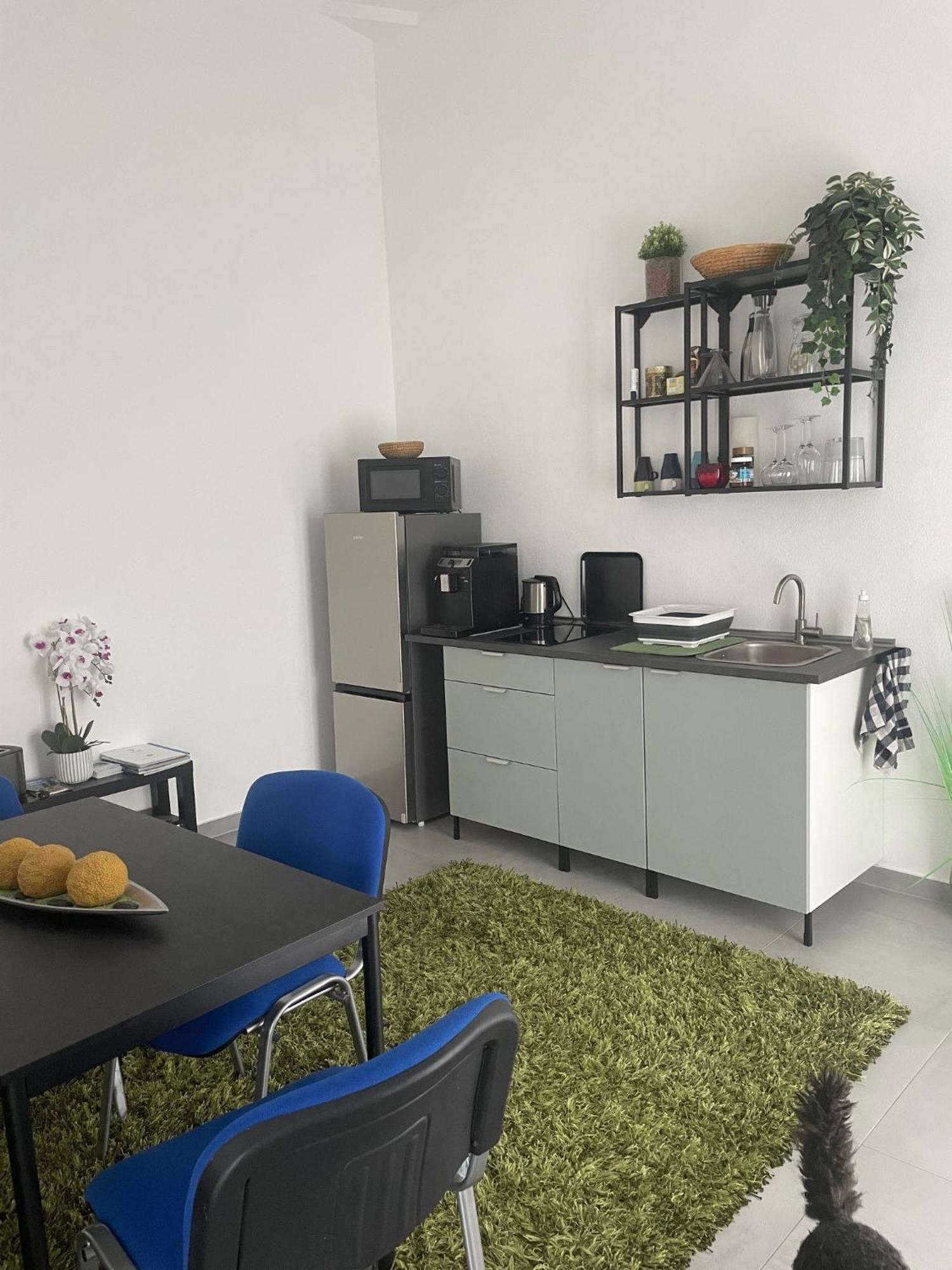Feine Auszeit Appartement Gottmadingen Buitenkant foto
